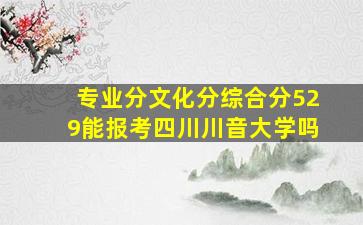 专业分文化分综合分529能报考四川川音大学吗