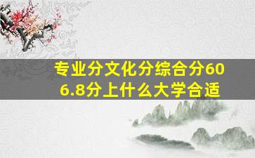 专业分文化分综合分606.8分上什么大学合适