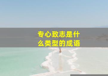 专心致志是什么类型的成语