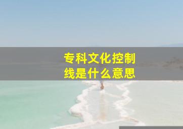 专科文化控制线是什么意思