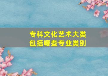 专科文化艺术大类包括哪些专业类别