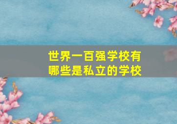 世界一百强学校有哪些是私立的学校