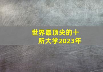 世界最顶尖的十所大学2023年