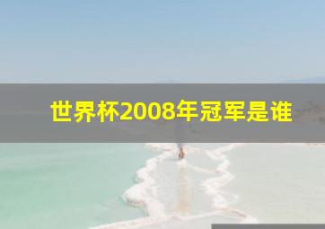 世界杯2008年冠军是谁