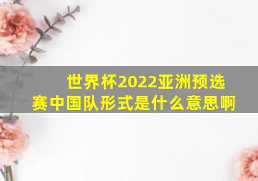 世界杯2022亚洲预选赛中国队形式是什么意思啊