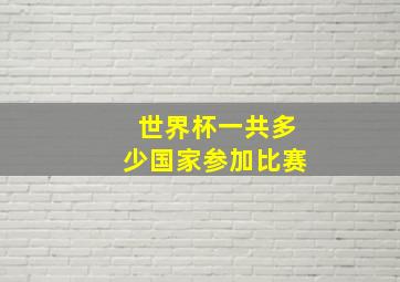 世界杯一共多少国家参加比赛