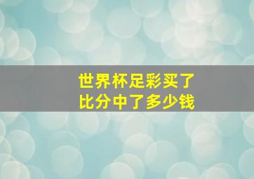 世界杯足彩买了比分中了多少钱