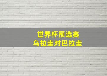 世界杯预选赛乌拉圭对巴拉圭