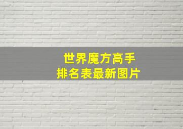 世界魔方高手排名表最新图片