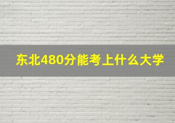 东北480分能考上什么大学