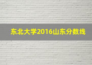 东北大学2016山东分数线