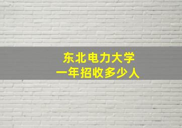 东北电力大学一年招收多少人