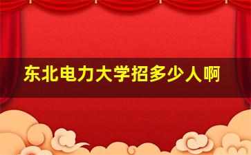 东北电力大学招多少人啊