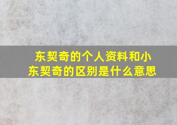 东契奇的个人资料和小东契奇的区别是什么意思