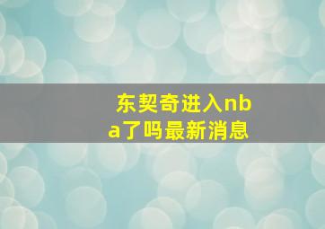 东契奇进入nba了吗最新消息