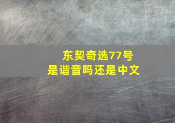 东契奇选77号是谐音吗还是中文