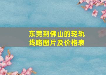 东莞到佛山的轻轨线路图片及价格表