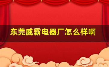 东莞威霸电器厂怎么样啊