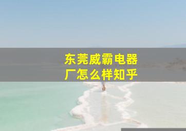 东莞威霸电器厂怎么样知乎