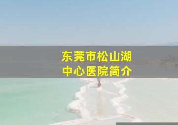 东莞市松山湖中心医院简介