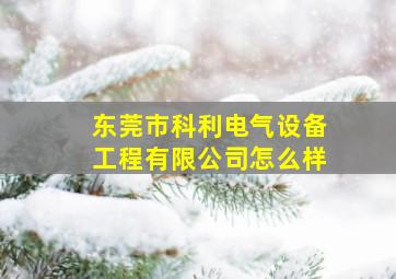 东莞市科利电气设备工程有限公司怎么样