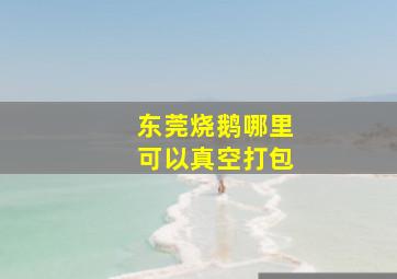 东莞烧鹅哪里可以真空打包