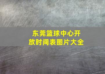 东莞篮球中心开放时间表图片大全