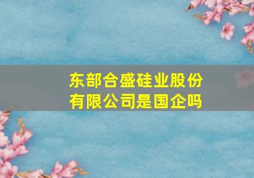 东部合盛硅业股份有限公司是国企吗