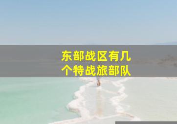 东部战区有几个特战旅部队