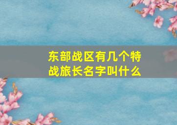 东部战区有几个特战旅长名字叫什么