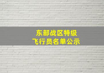 东部战区特级飞行员名单公示