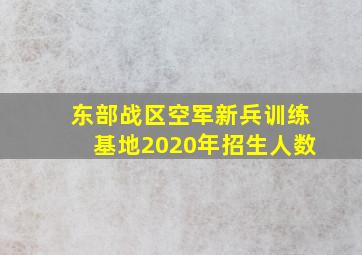 东部战区空军新兵训练基地2020年招生人数