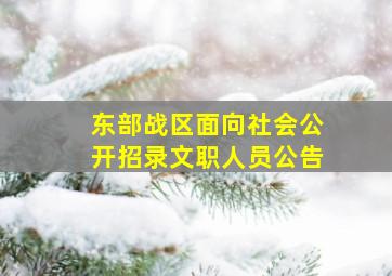 东部战区面向社会公开招录文职人员公告