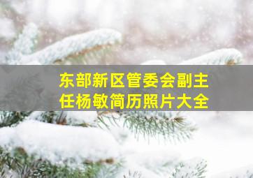 东部新区管委会副主任杨敏简历照片大全