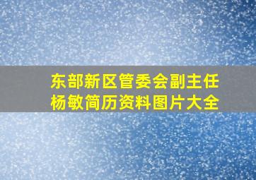 东部新区管委会副主任杨敏简历资料图片大全