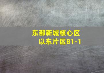 东部新城核心区以东片区B1-1