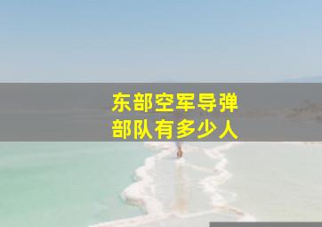 东部空军导弹部队有多少人