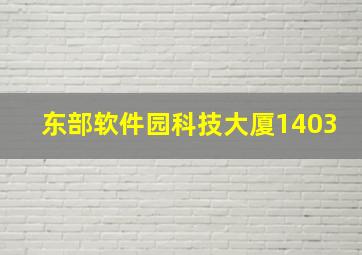 东部软件园科技大厦1403