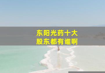 东阳光药十大股东都有谁啊