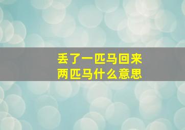 丢了一匹马回来两匹马什么意思