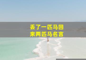 丢了一匹马回来两匹马名言