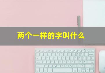 两个一样的字叫什么