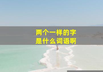 两个一样的字是什么词语啊