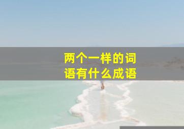 两个一样的词语有什么成语