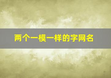 两个一模一样的字网名