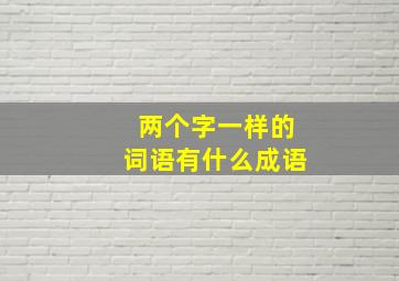 两个字一样的词语有什么成语