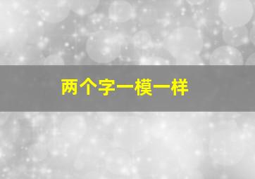 两个字一模一样