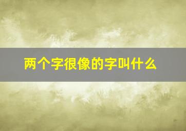 两个字很像的字叫什么