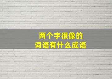 两个字很像的词语有什么成语