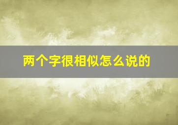 两个字很相似怎么说的